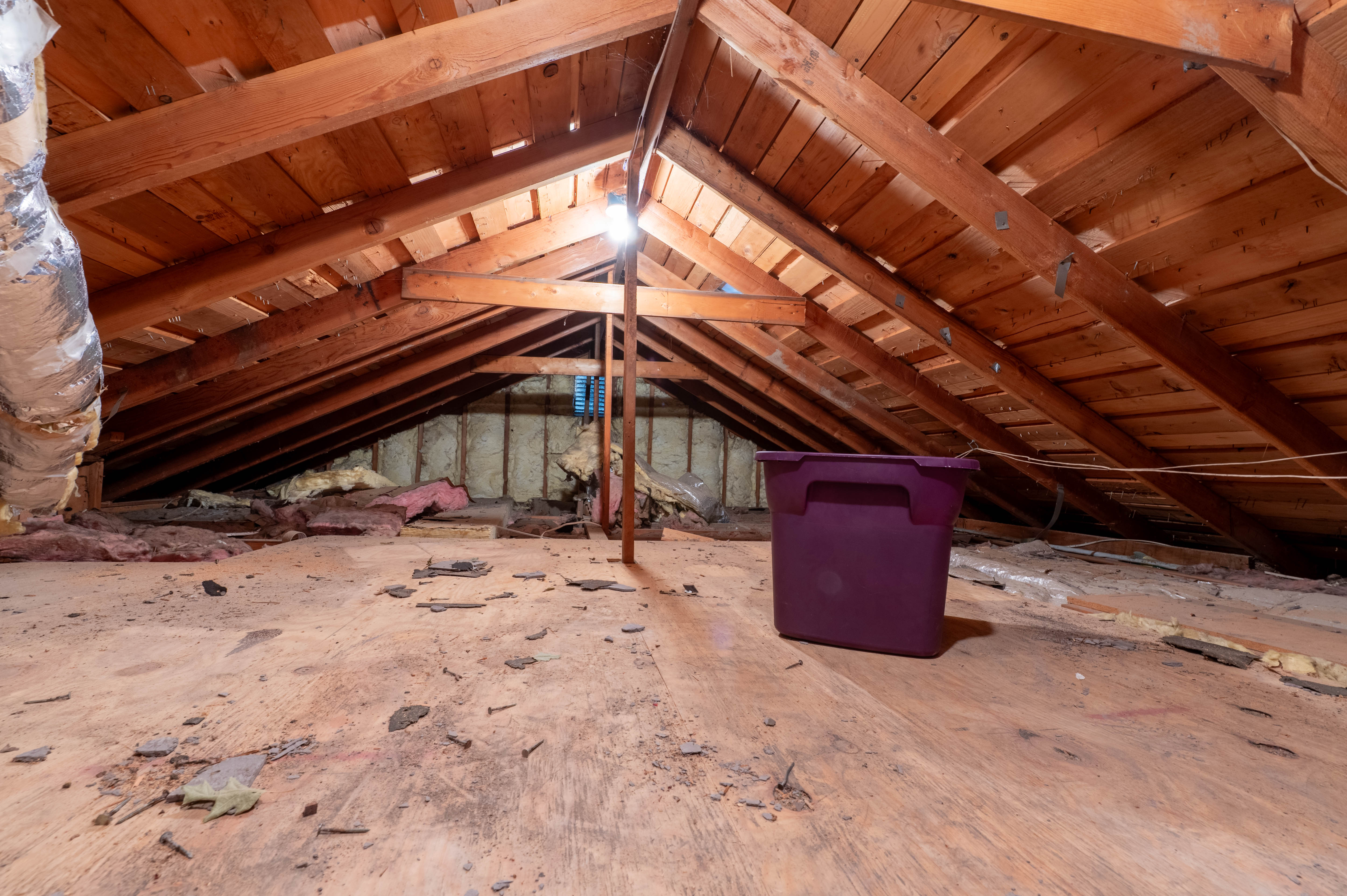 3201 Swallows Nest Drive, attic space